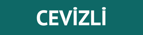 Cevizli Kurye