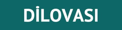 Dilovasi Kurye
