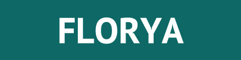 Florya Kurye