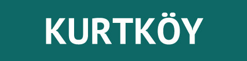 Kurtköy Kurye