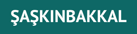 Şaşkınbakkal Kurye